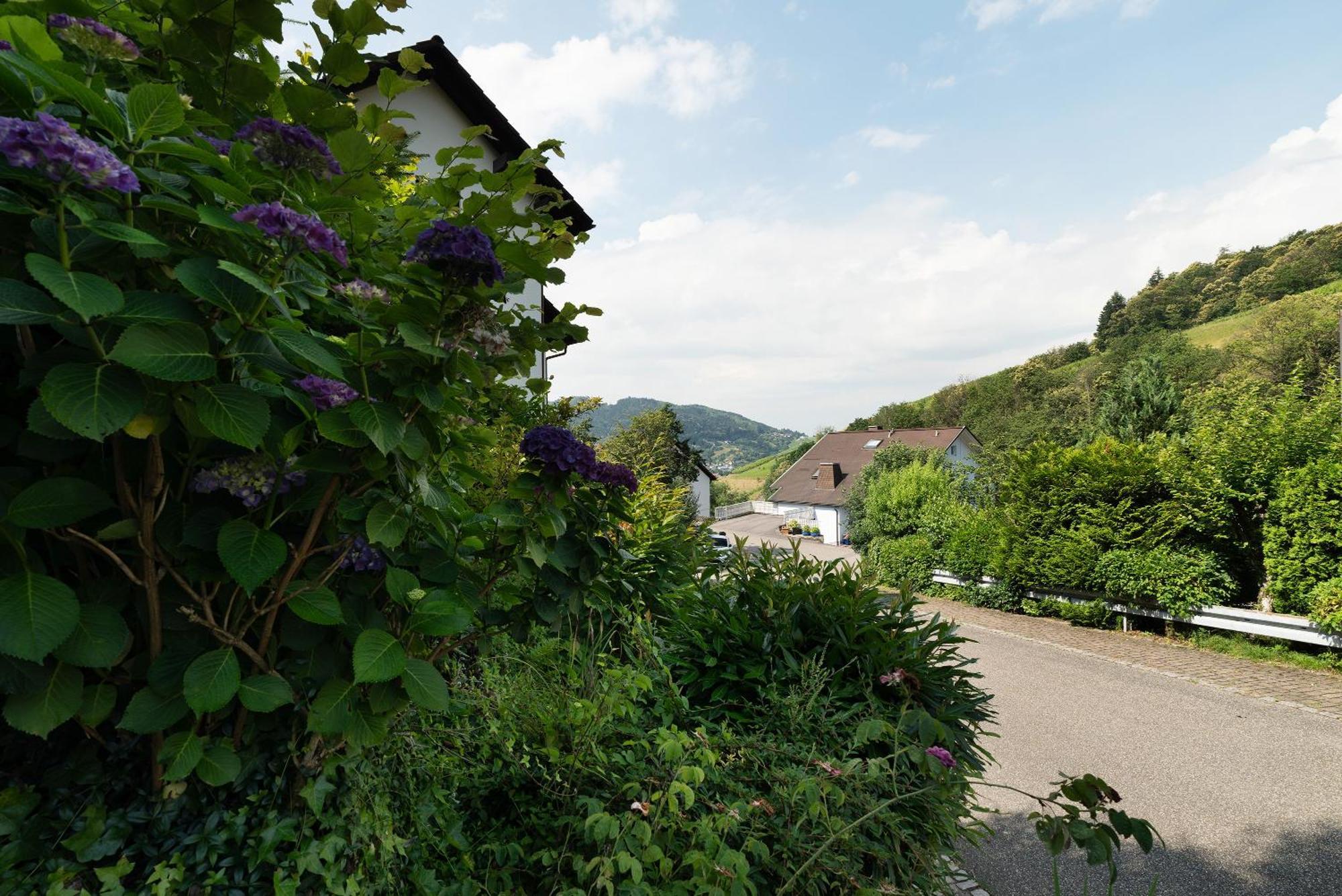 Ferienwohnung Wintereck Bühlertal Exterior foto